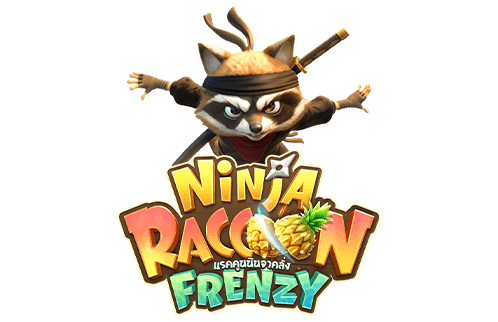 NINJA RACCOON FRENZY