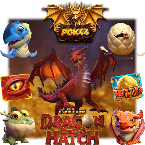 DRAGON HATCH ทำกำไร